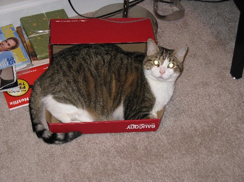 shoe-box-resized.jpg