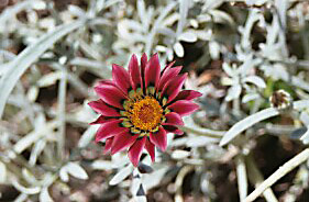 my-pictures0002_edited