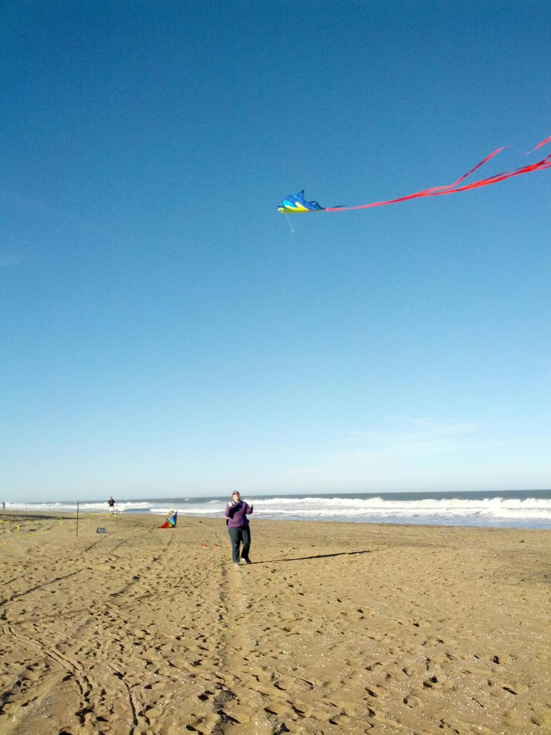 dolphin kite